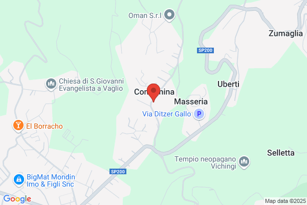 Cabbia