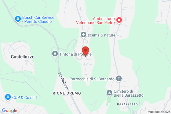 Filodendro Costruzioni