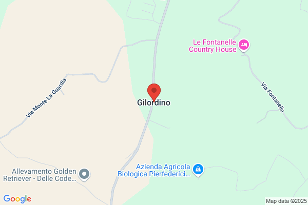 Gilardino Adriano