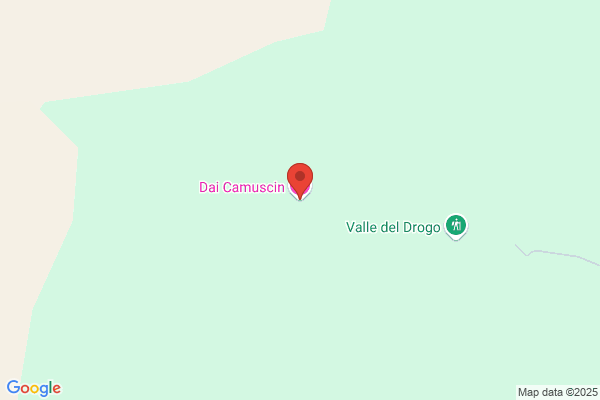 Dai Camuscin