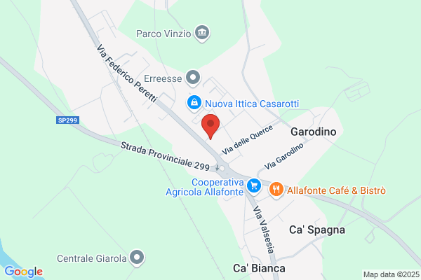 Carta Godio
