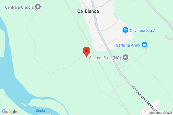 Istituto Piante Da Legno E Per Lambiente