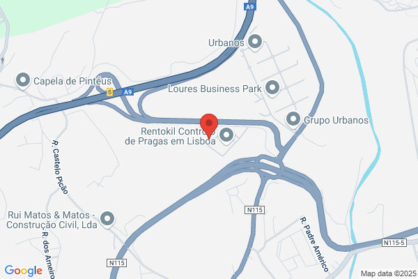 Sotecnica