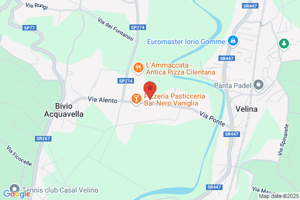 Pizzeria Ristorante Paninoteca Pummarola ncoppa