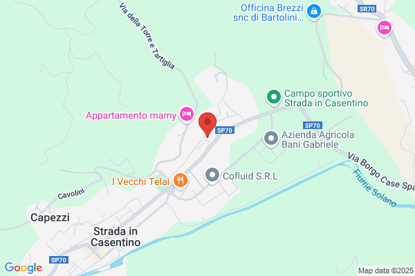 Fuochi Fiorenzo Srl