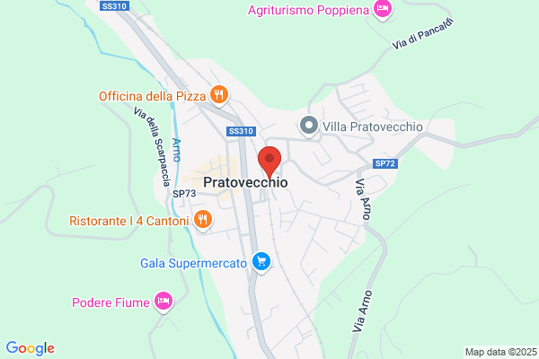Pagnini paolo