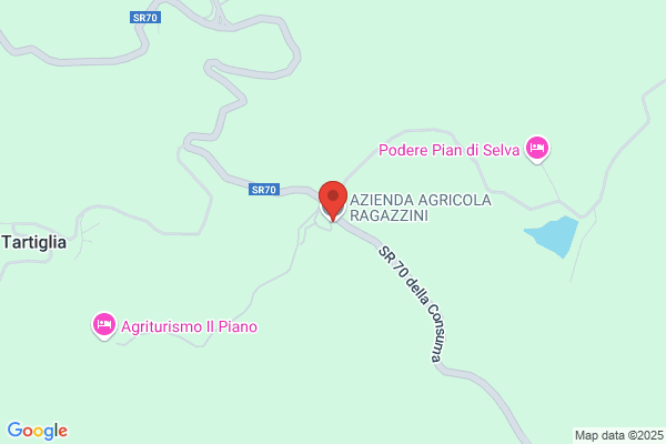 Ragazzini angiolo