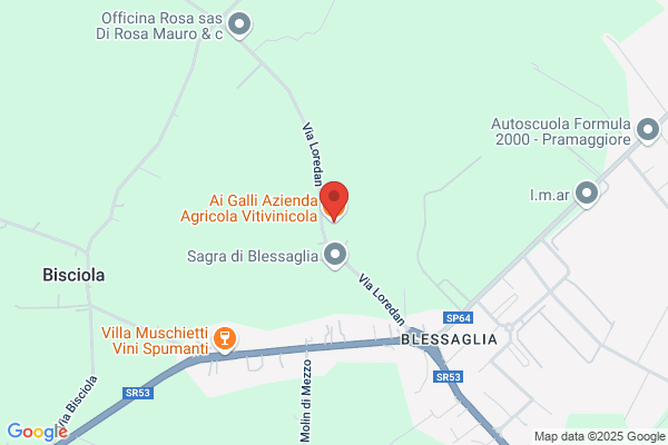 Ai Galli Azienda Agricola Vitivinicola