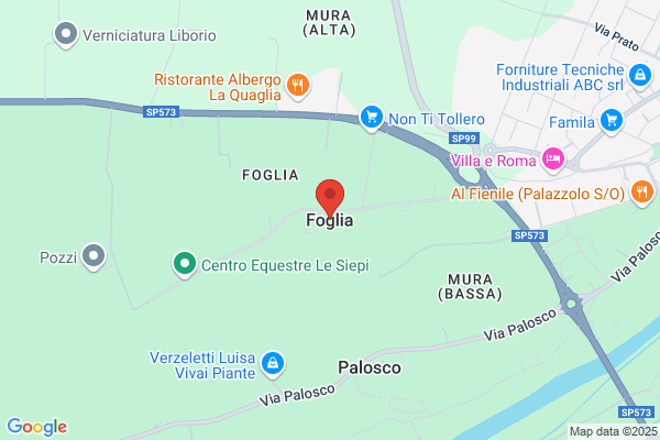 Foglia Guido