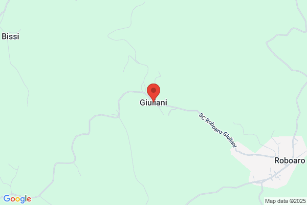 Giuliani Rosella (Dr.)