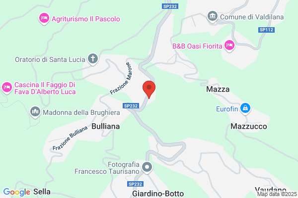 Marone elvio