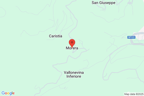 Morera renato (Geom.)