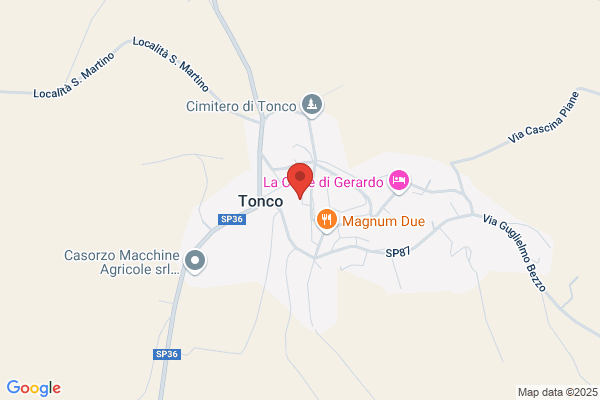 Tonso renzo