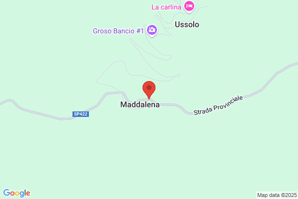 Pasero rosa