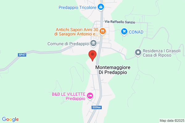 Picchi terzo