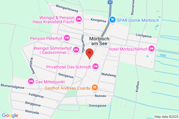 Mosini giovanni (P.I.)