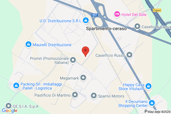 Artemide Global Service