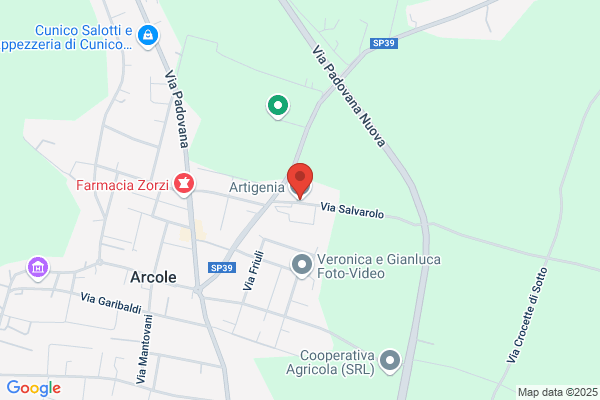 Artigenia