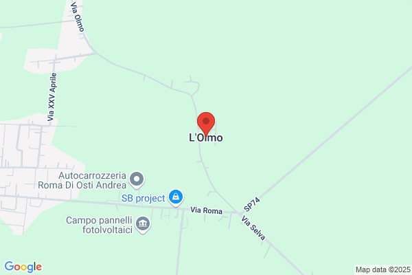 L'Olmo