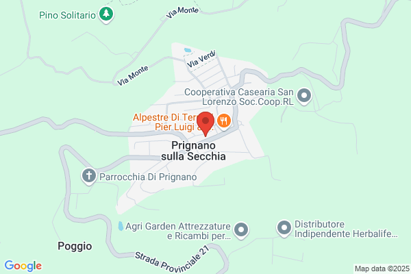 Federazione Associazioni Servizi Assistenziali