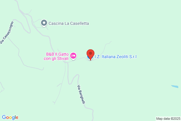 I. Z. Italiana Zeoliti S.R.L.