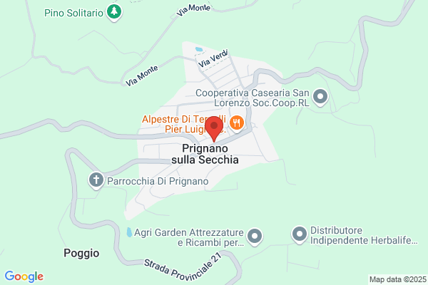 Mesti bruno