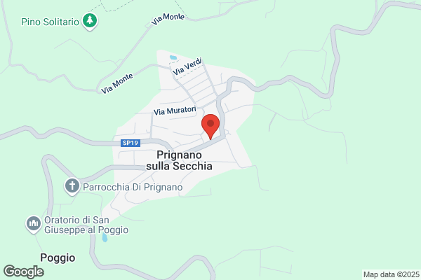 Pensione Alpestre