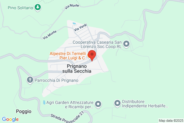 Pietri Giorgio E C. (S.N.C.)
