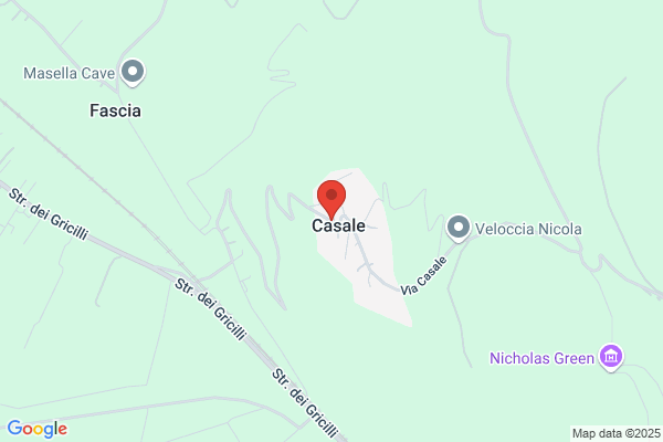 Veloccia nicola