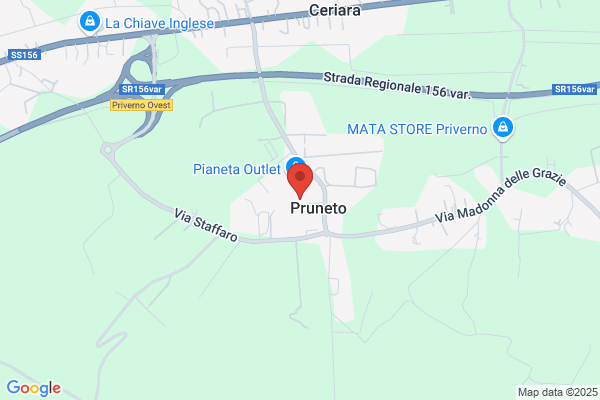 Palluzzi S.N.C