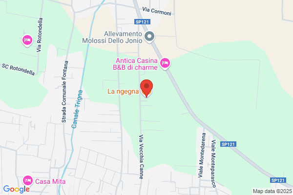 La ngegna