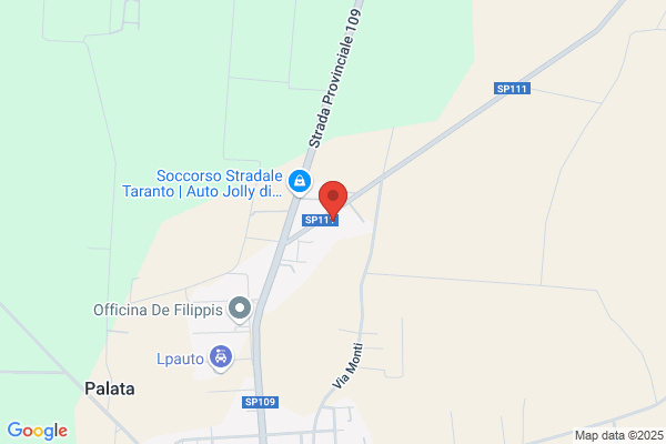 Palombella angelo