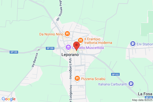 Servizi di Assistenza Ancora della vita