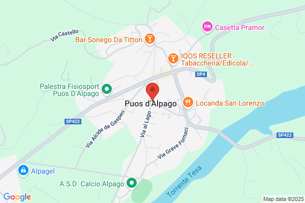 Domenico Dall' O' Noleggio con Conducente