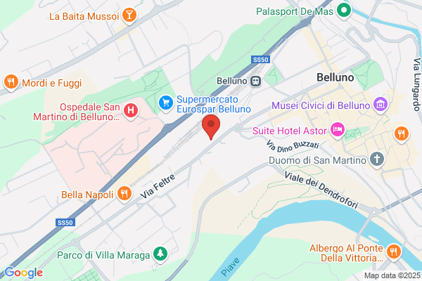 Ingegner Gianni Dal Borgo & C. (S.N.C.)