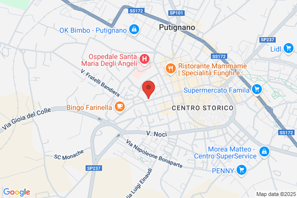 Tedi Tour Operator