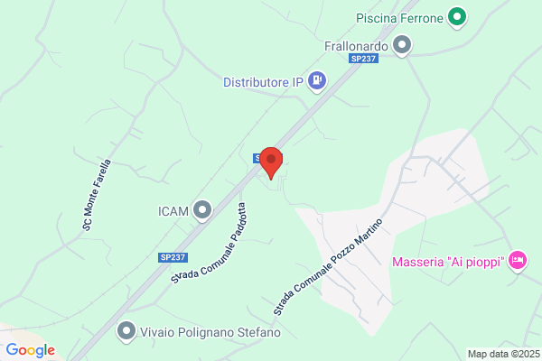Pacello Srl