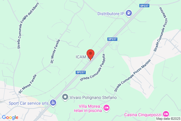 Icam Srl