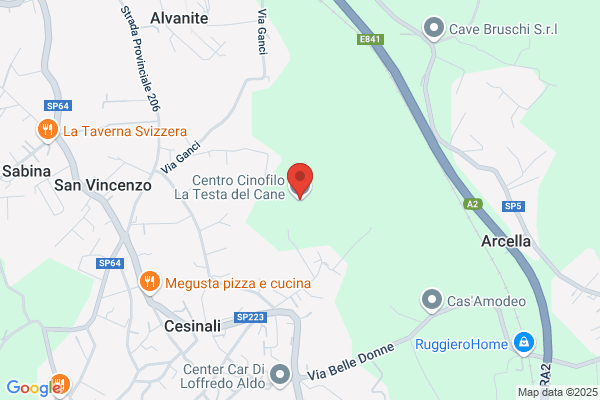 Centro Cinofilo La Testa del Cane