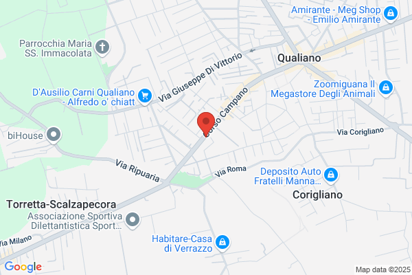 Schiano Di Visconti domenico