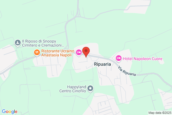 O.M.E. Revisioni Ripuaria Srl