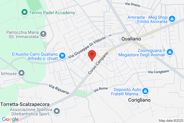 Istituto Canonico Campano