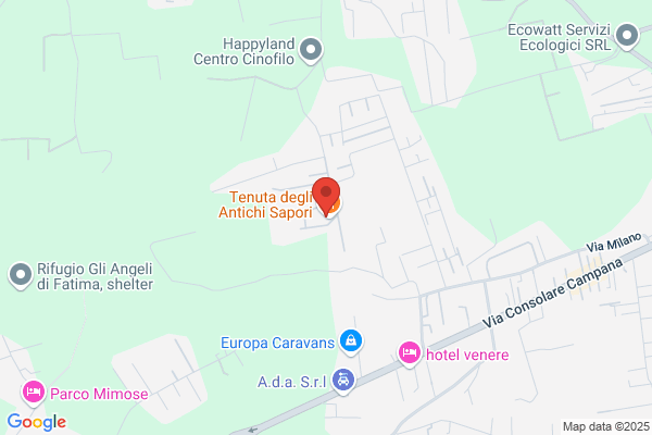 Tenuta Tambaro