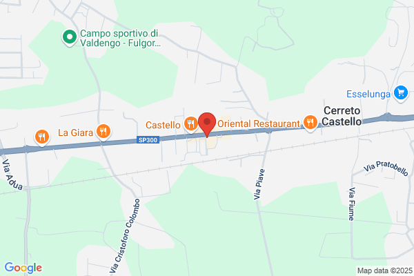 Centrolegno