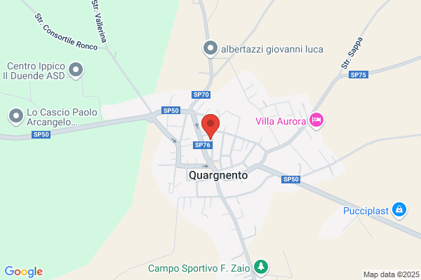 Lento enzo