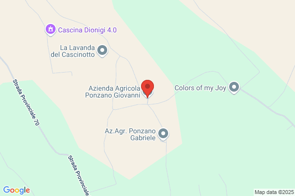 Ponzano giuseppe