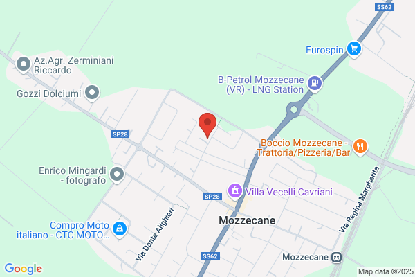 Maffioli michele