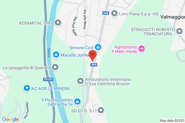 Piletta bruno (Geom.)