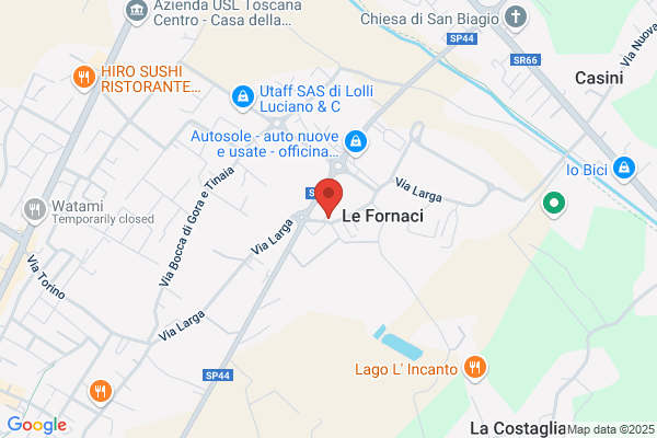 Vignolini elisabetta