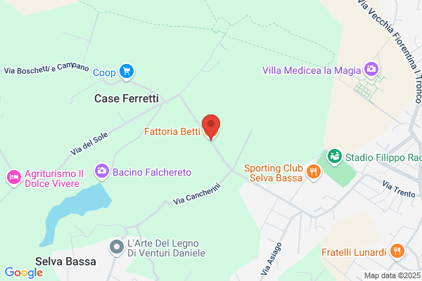 Frati Damiano